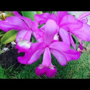 Meet your Posher, Melany